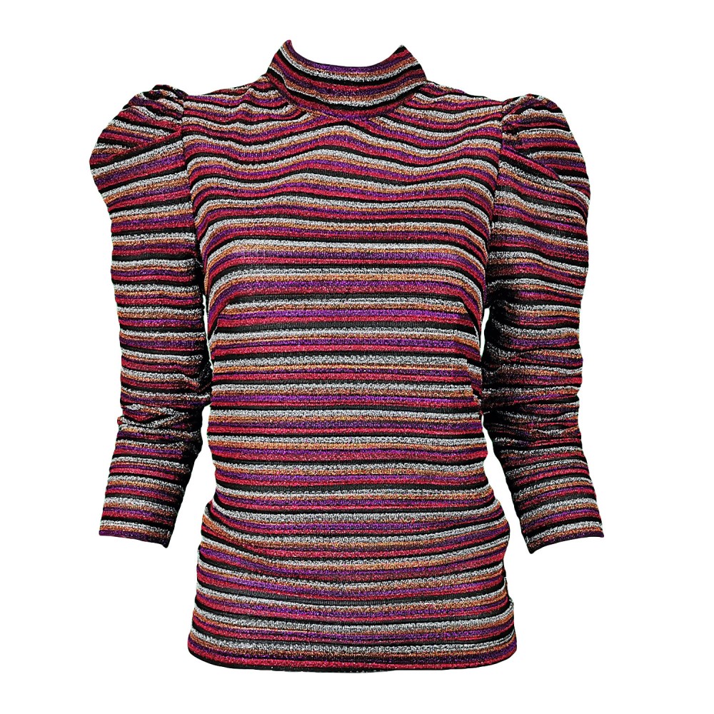 Multicolor Knitted Turtle Neck Blouse